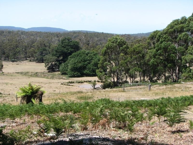 1592 BUCKLAND ROAD WOODSDALE, Sorell TAS 7172