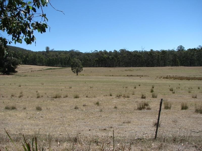 1592 BUCKLAND ROAD WOODSDALE, Sorell TAS 7172