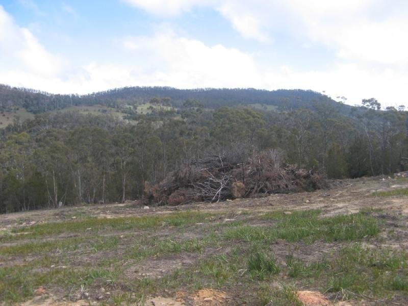 118 HALL LANE, Bagdad TAS 7030