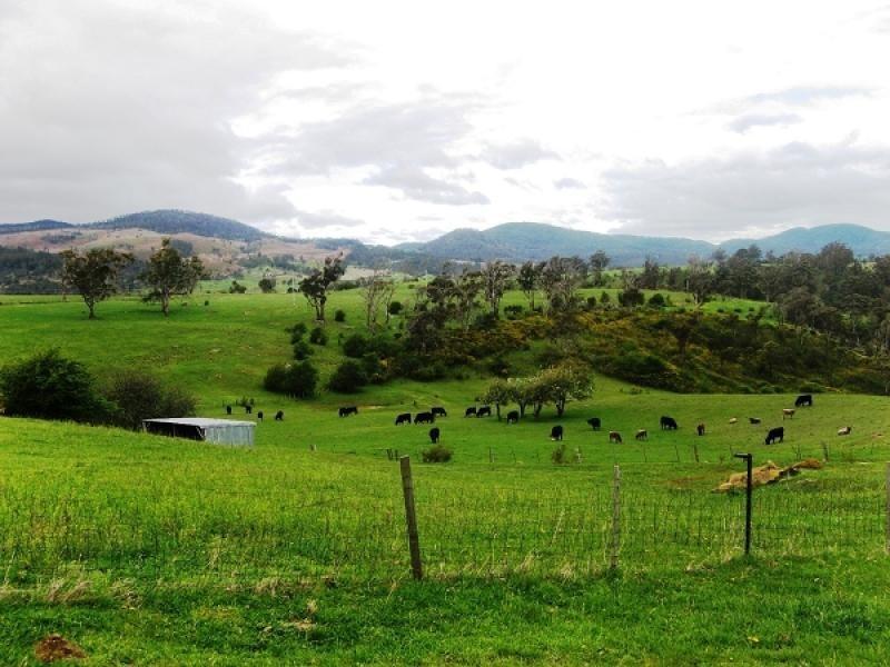 2250 Clifton Vale Road, Dysart TAS 7030
