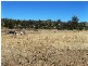 1304 MARKED TREE ROAD, Pelham TAS 7030