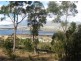 35 Grevillea Avenue, Old Beach TAS 7017