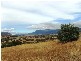 46 HONEYWOOD DRIVE, Honeywood TAS 7017