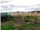 511 Jericho Road Jericho, Jericho TAS 7030