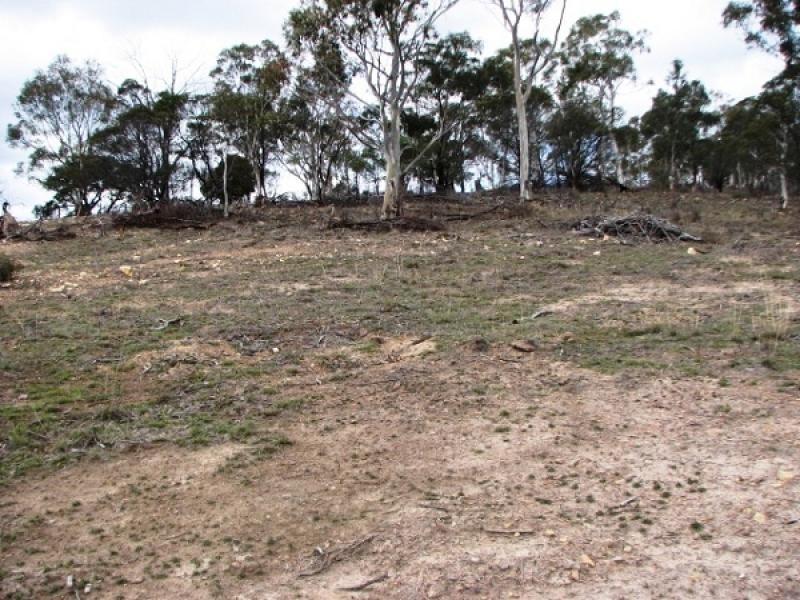 99 Glen Dhu Road, Molesworth TAS 7140