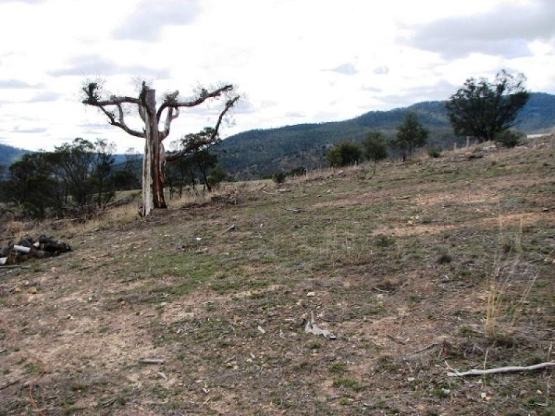 99 Glen Dhu Road, Molesworth TAS 7140