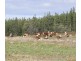 1020 Stonehenge Road, Stonehenge TAS 7120