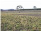 1020 Stonehenge Road, Stonehenge TAS 7120