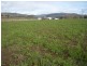 1020 Stonehenge Road, Stonehenge TAS 7120