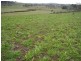 1020 Stonehenge Road, Stonehenge TAS 7120