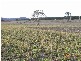1020 STONEHENGE ROAD, Stonehenge TAS 7120