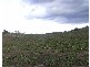 1020 STONEHENGE ROAD, Stonehenge TAS 7120