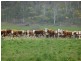 1020 STONEHENGE ROAD, Stonehenge TAS 7120