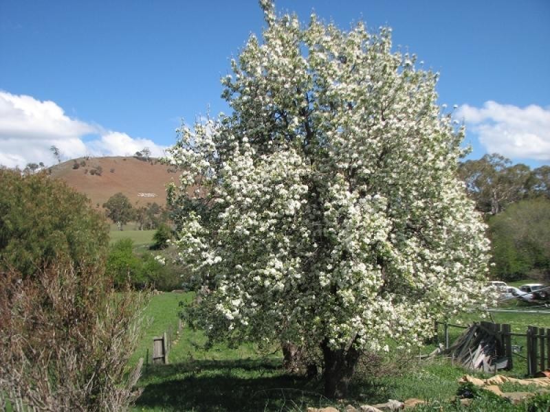 35 Main Street, Kempton TAS 7030