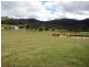 133 Springhill Bottom Road, Colebrook TAS 7027