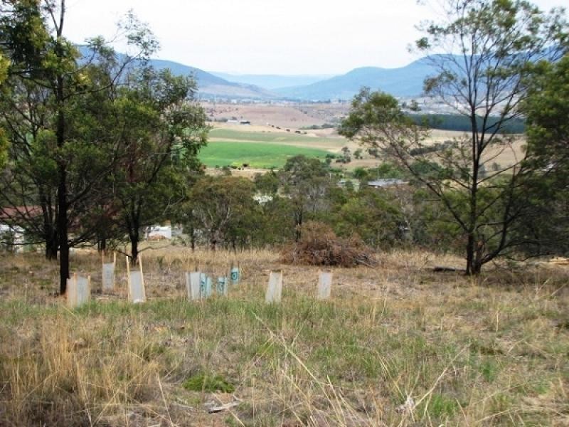 71 Upton Drive, Honeywood TAS 7017