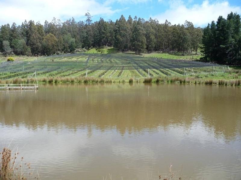 268 Krauses Road, Lower Longley TAS 7109