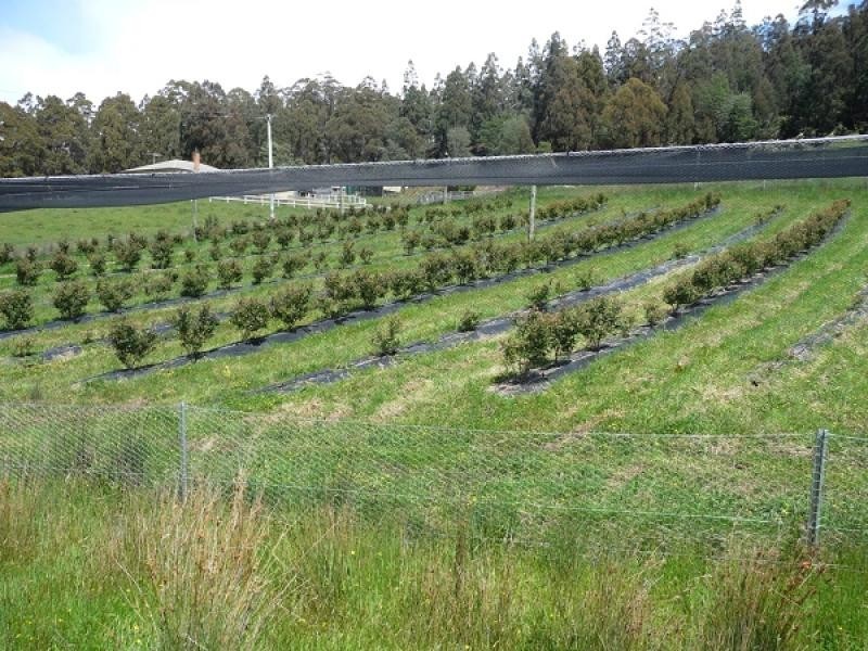 268 Krauses Road, Lower Longley TAS 7109