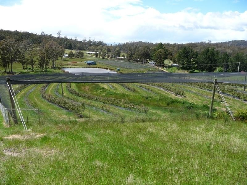 268 Krauses Road, Lower Longley TAS 7109