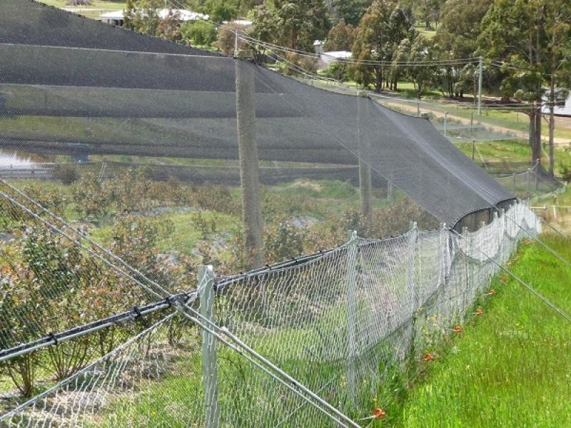 268 Krauses Road, Lower Longley TAS 7109