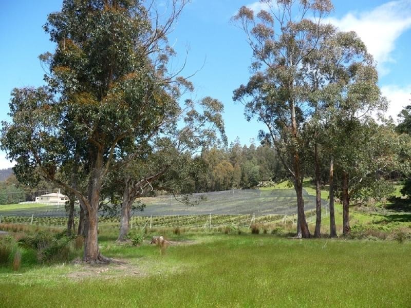 268 Krauses Road, Lower Longley TAS 7109