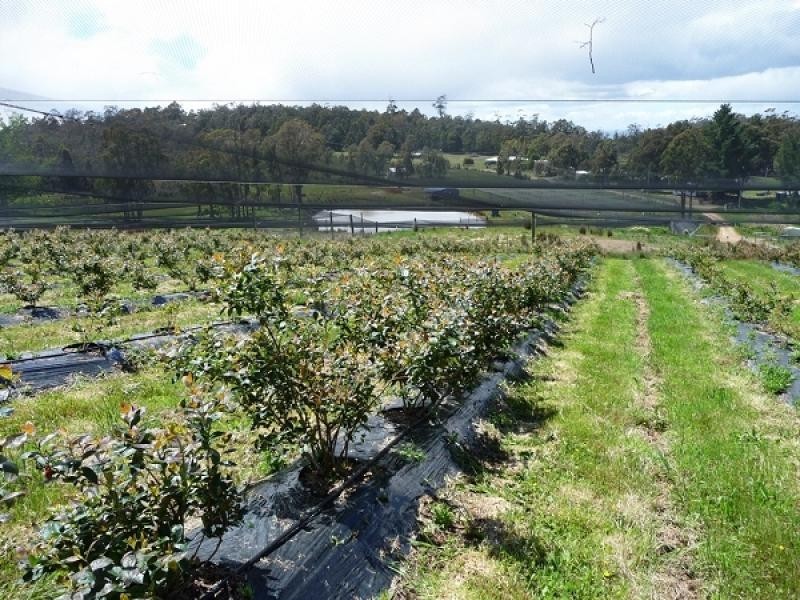 268 Krauses Road, Lower Longley TAS 7109