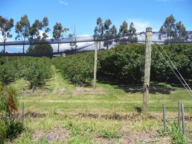 268 Krauses Road, Lower Longley TAS 7109