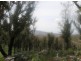 Elderslie TAS 7030