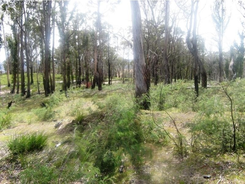 Elderslie TAS 7030