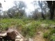 Elderslie TAS 7030