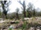 Elderslie TAS 7030