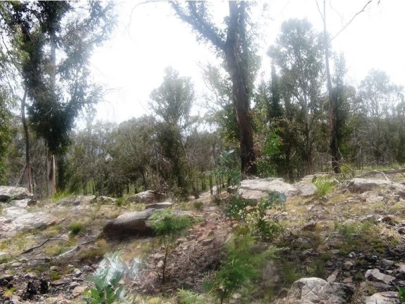 Elderslie TAS 7030