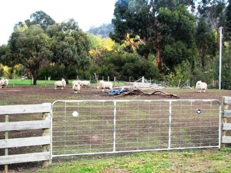 5 Cartledge Lane, Bagdad TAS 7030