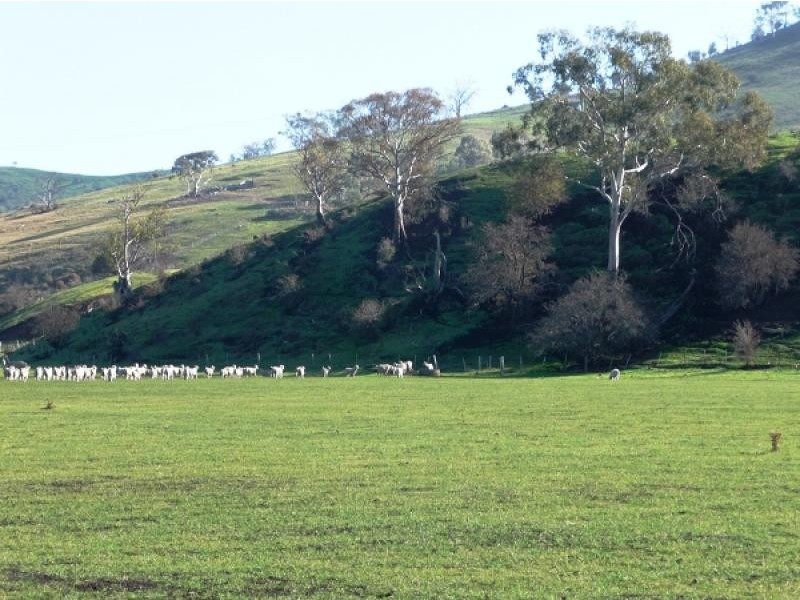 Lot 1 Black Brush Road, Mangalore TAS 7030