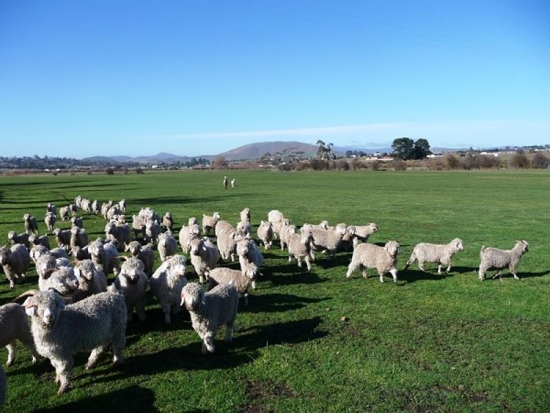 Lot 1 Black Brush Road, Mangalore TAS 7030