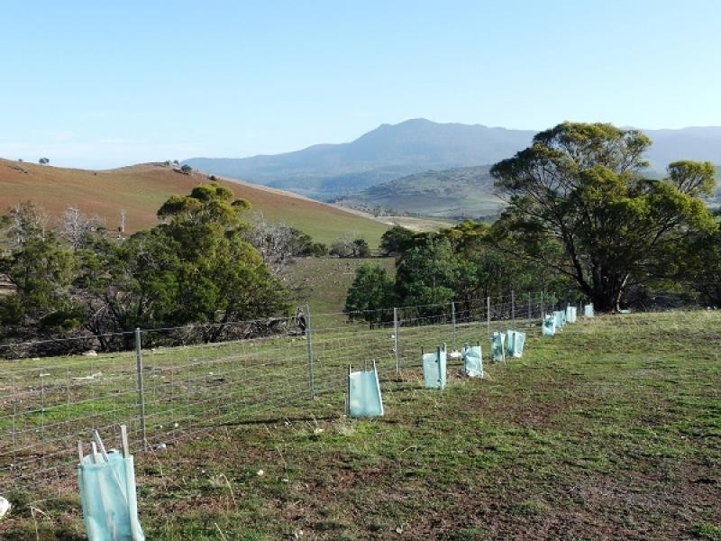 Lot 1 Black Brush Road, Mangalore TAS 7030