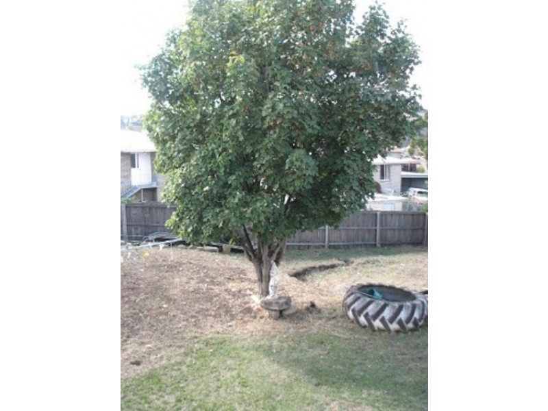 12 Gallahar Place, Bridgewater TAS 7030