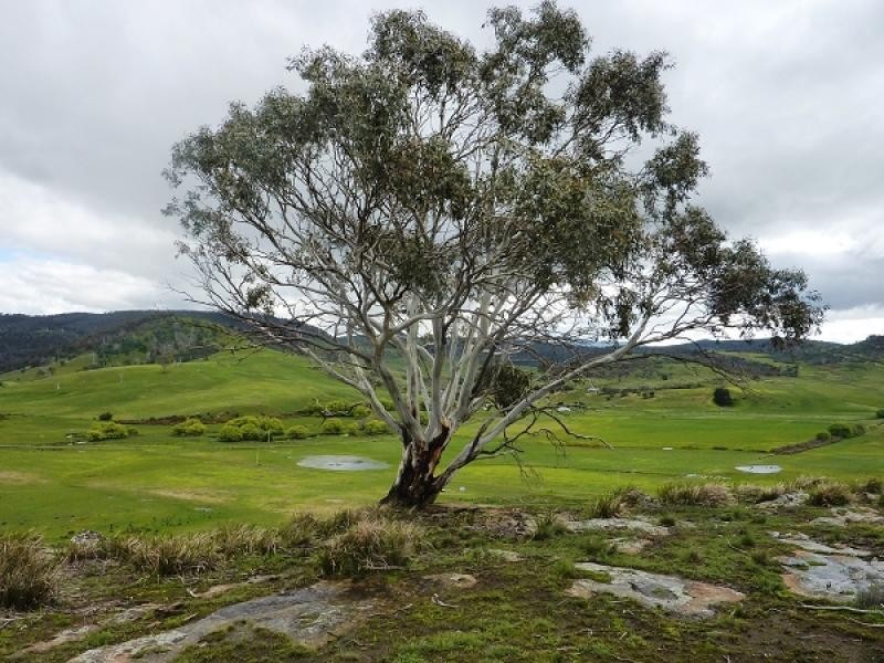 644 Lower Marshes Road, Apsley TAS 7030