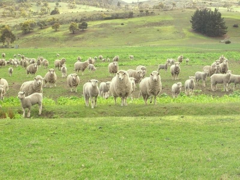 644 Lower Marshes Road, Apsley TAS 7030