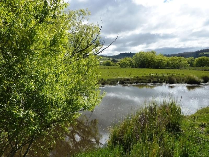 644 Lower Marshes Road, Apsley TAS 7030