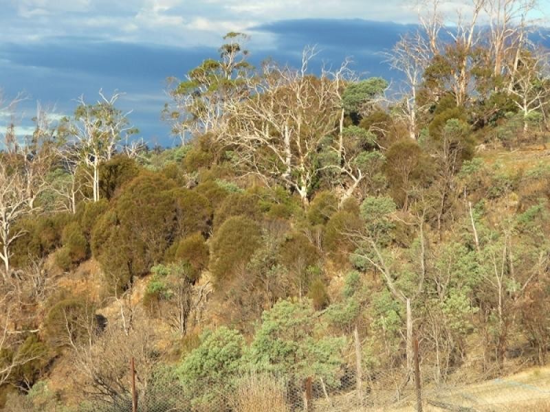 622 Swanston Road, Swanston TAS 7120