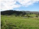 00 Connors Road, Cygnet TAS 7112