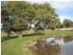 00 Connors Road, Cygnet TAS 7112