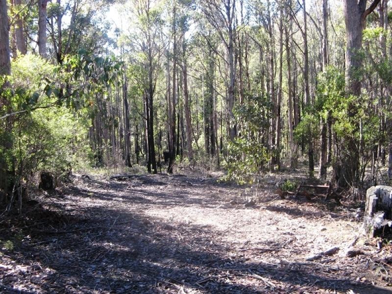 1140 Bluff Road, Elderslie TAS 7030