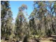 1140 Bluff Road, Elderslie TAS 7030