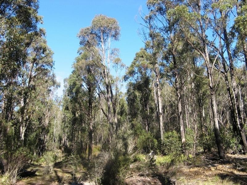 1140 Bluff Road, Elderslie TAS 7030
