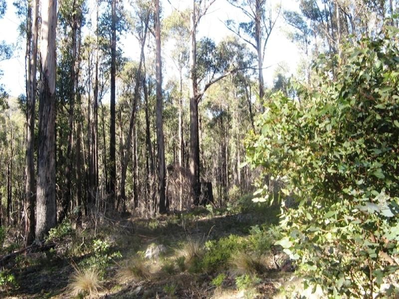 1140 Bluff Road, Elderslie TAS 7030