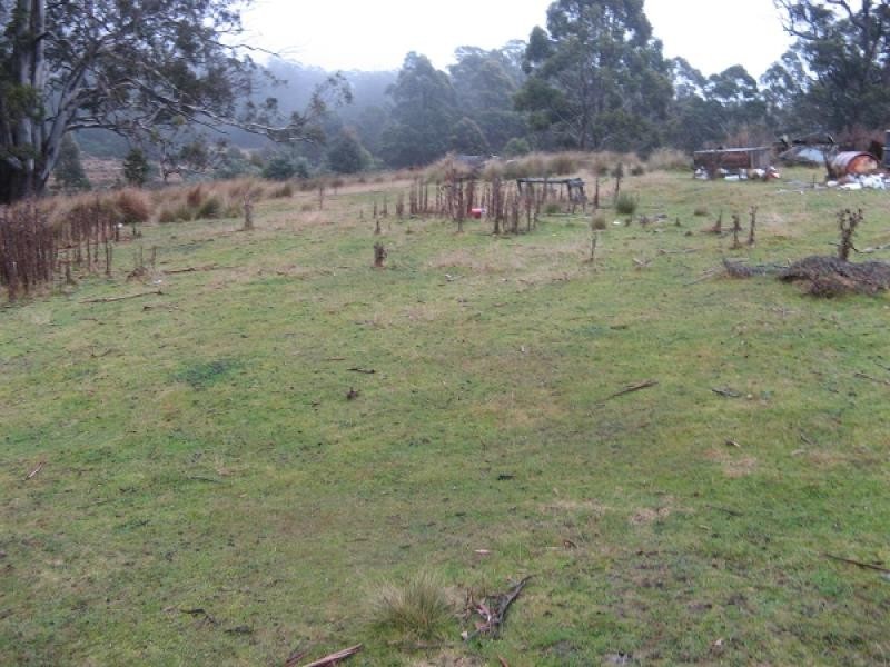 290 Woolridge Road, Colebrook TAS 7027