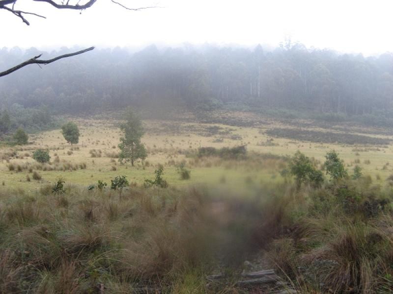 290 Woolridge Road, Colebrook TAS 7027