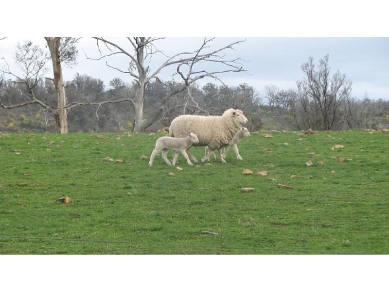 900 Swanston Road, Swanston TAS 7120